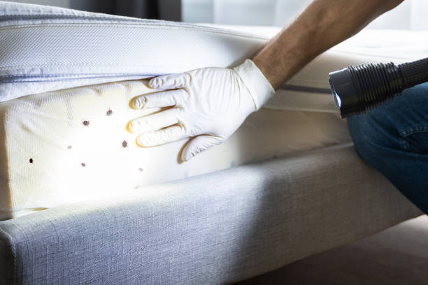 Best Commercial Pest Control Services  in Harlan, IA