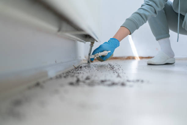 Best Best Pest Control Companies  in Harlan, IA